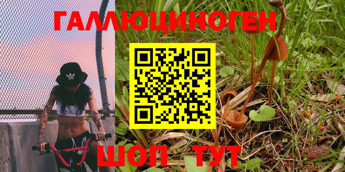Псилоцибиновые грибы мицелий  Псилоцибиновые грибы мухоморы  Грозный  Вход с VPN 