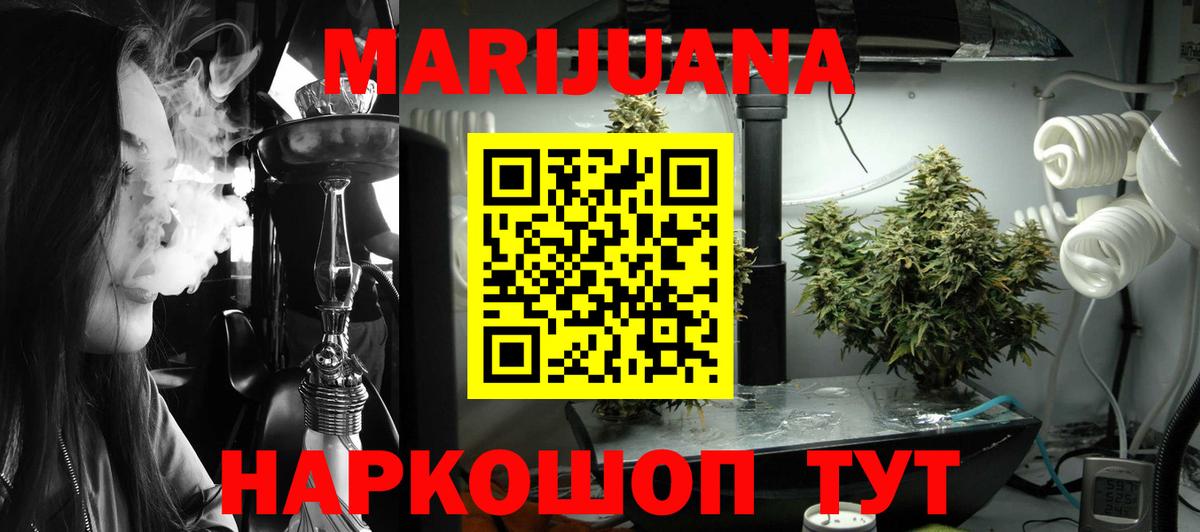 Канабис гибрид Грозный